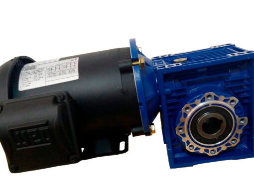 Motorreductor Corona-Sinfín de 0.25 HP Trifásico 220/440V